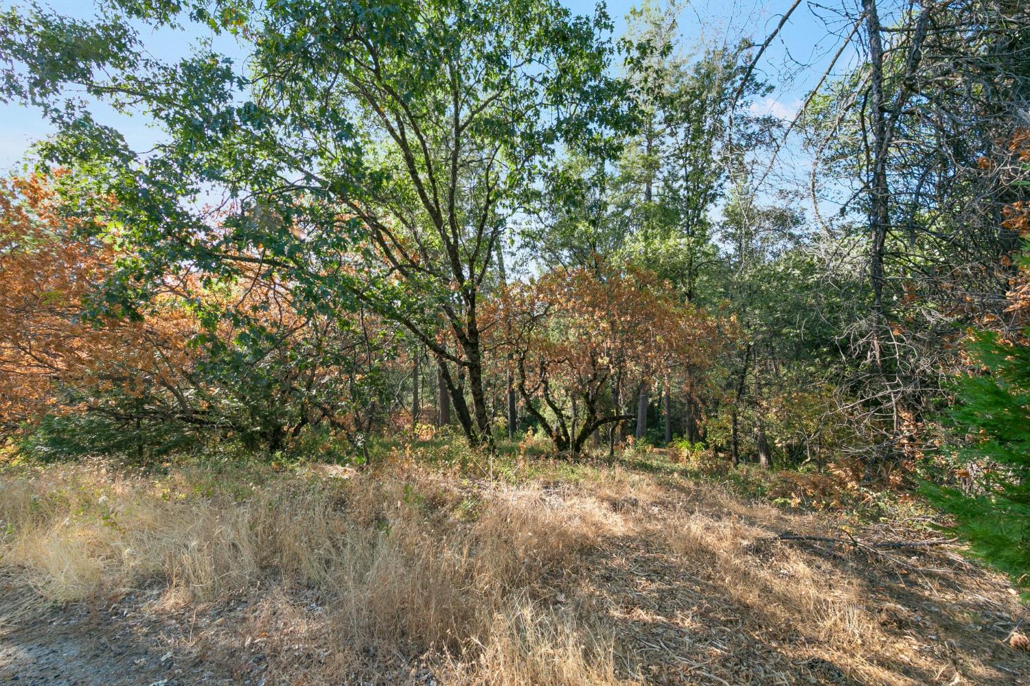0 Sly Park Road Placerville, CA 95667 - Photo 8 of 27 Gallery Image 8