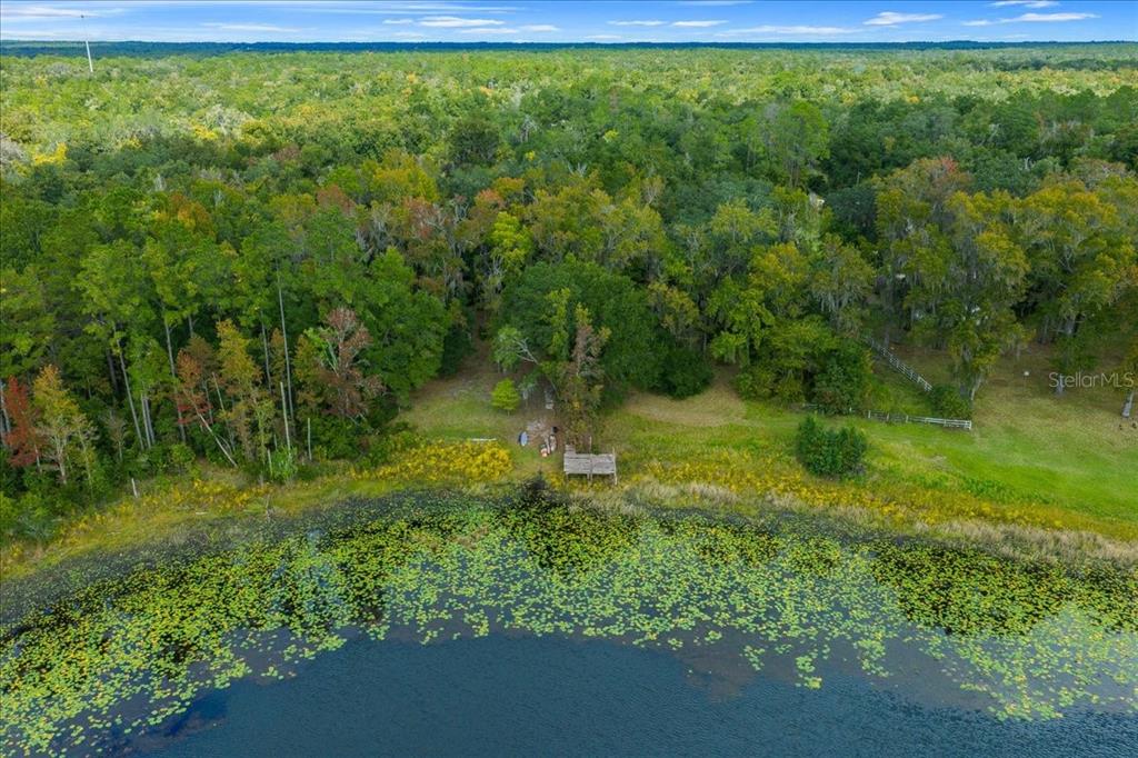 7173 West R Thomas Road Keystone Heights, FL 32656 - Photo 11 of 59 a backyard of a house with lots of green space and plants