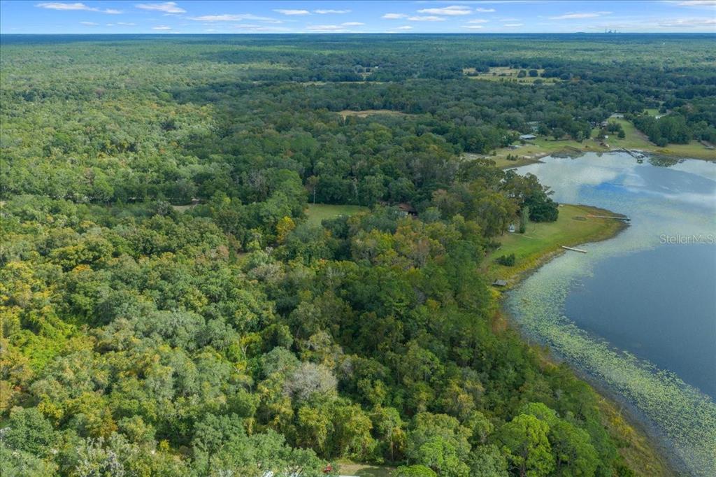 7173 West R Thomas Road Keystone Heights, FL 32656 - Photo 14 of 59 a view of a lush green forest with lots of trees