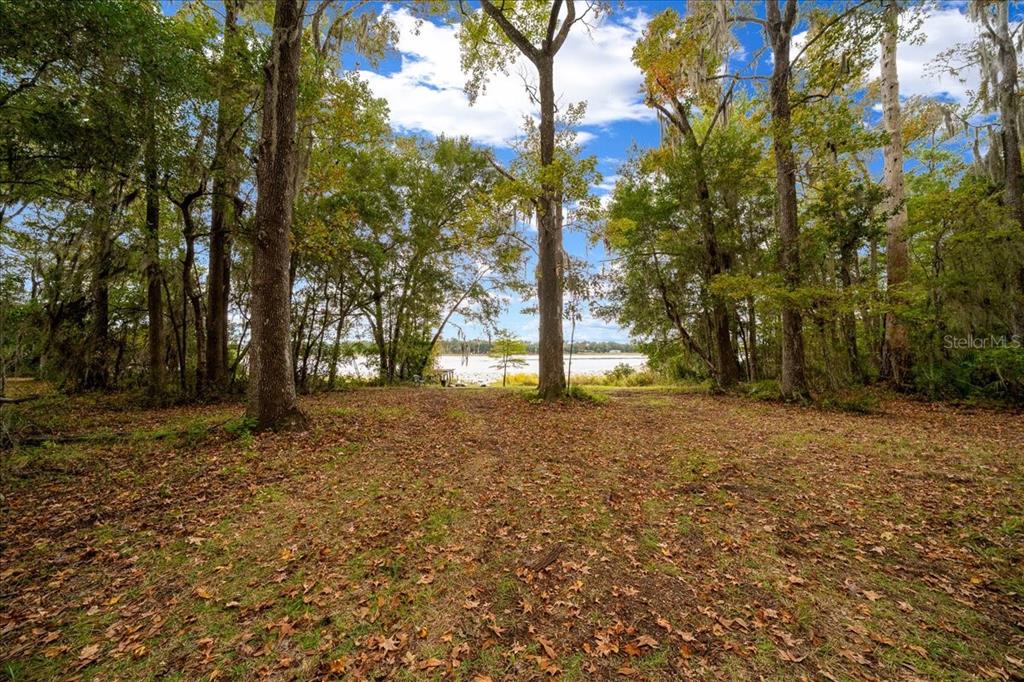 7173 West R Thomas Road Keystone Heights, FL 32656 - Photo 2 of 59 a view of a tree in the middle of a yard