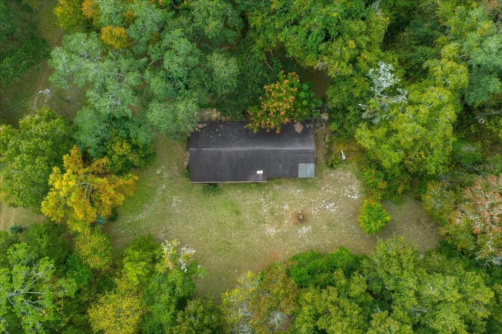 7173 West R Thomas Road Keystone Heights, FL 32656 - Photo 4 of 59 a big yard with plants and large trees