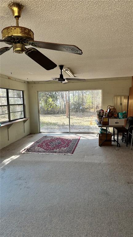 7173 West R Thomas Road Keystone Heights, FL 32656 - Photo 47 of 81