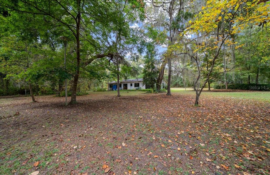7173 West R Thomas Road Keystone Heights, FL 32656 - Photo 5 of 59 a view of outdoor space with trees
