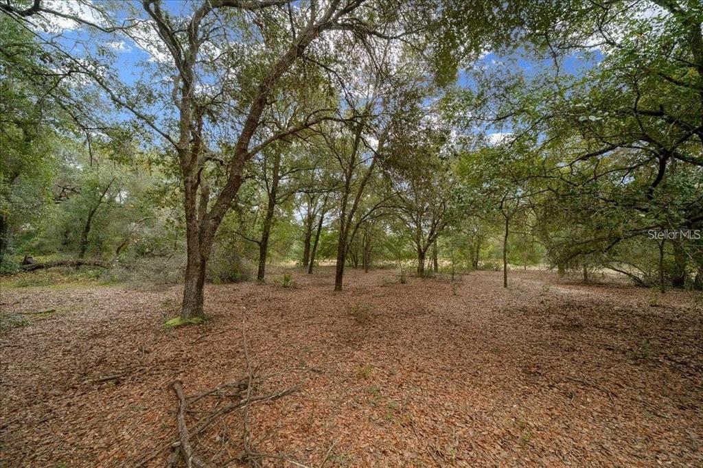 7173 West R Thomas Road Keystone Heights, FL 32656 - Photo 70 of 81