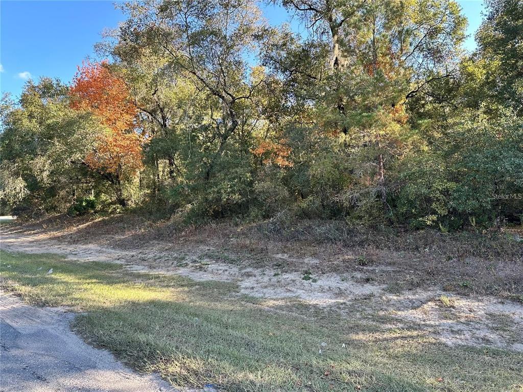 7173 West R Thomas Road Keystone Heights, FL 32656 - Photo 74 of 81