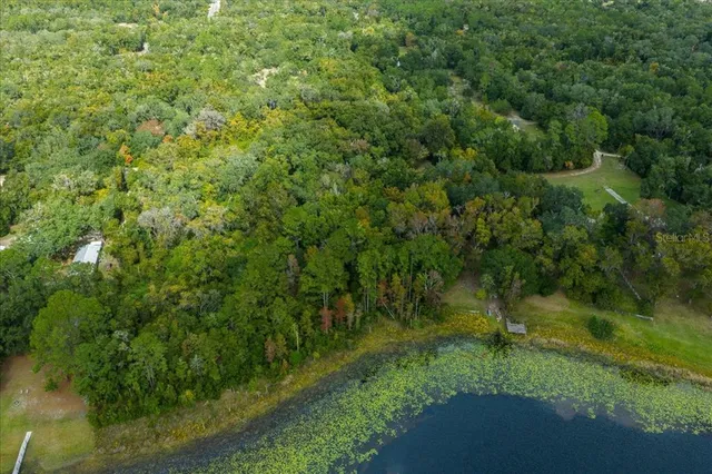 a view of a field of grass and trees
