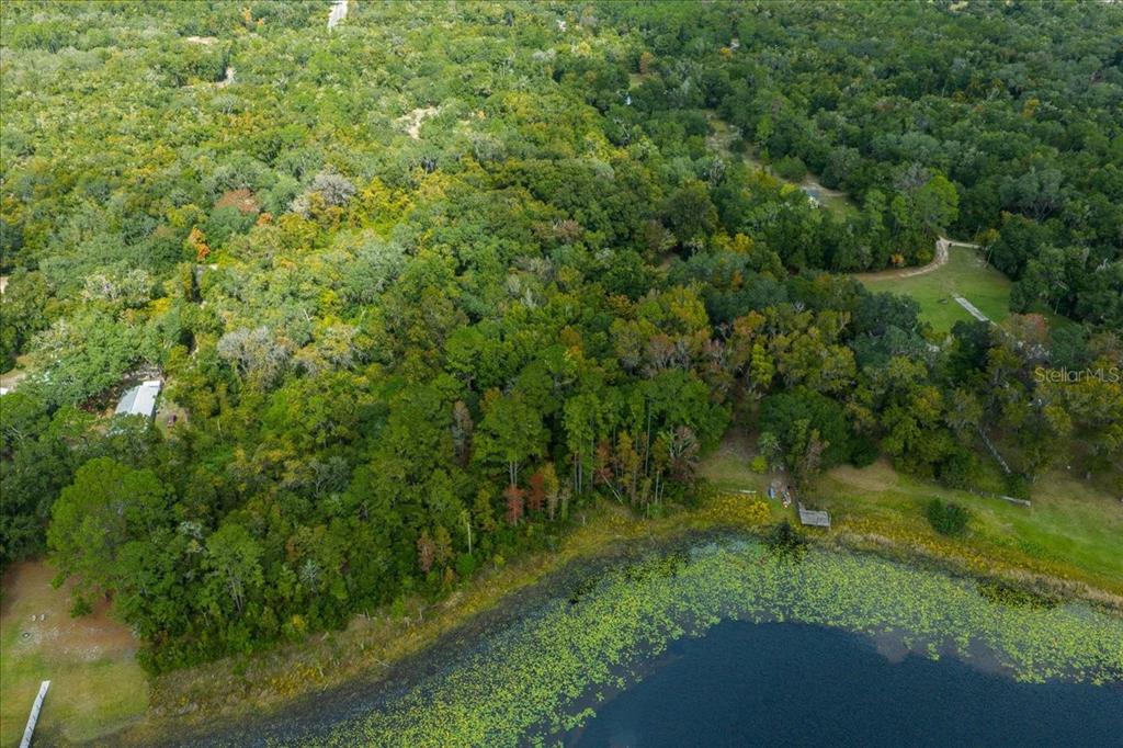 7173 West R Thomas Road Keystone Heights, FL 32656 - Photo 10 of 59