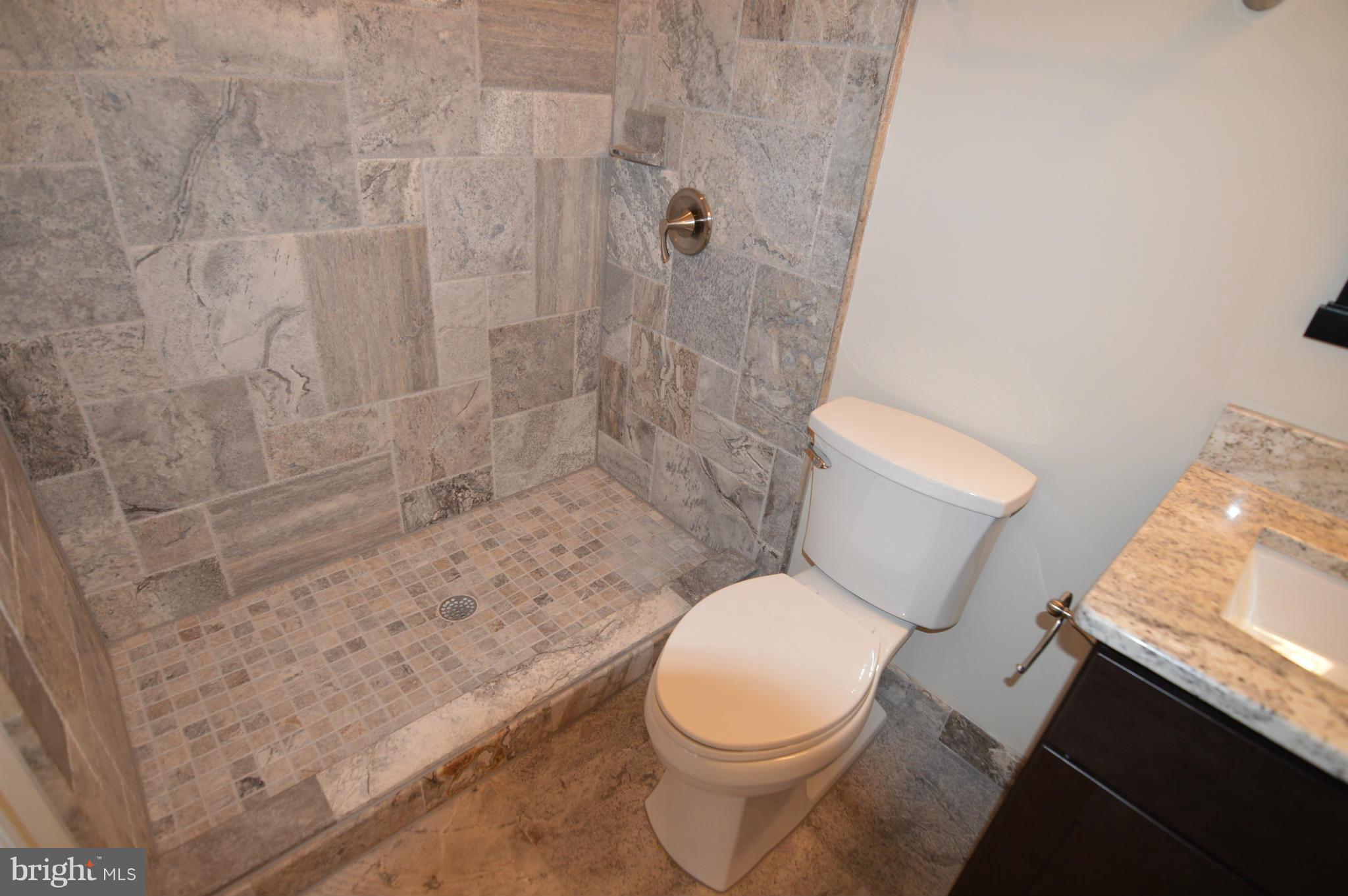 9404 Riley Place Silver Spring, MD 20910 - Photo 14 of 30 1st Floor Full Bathroom