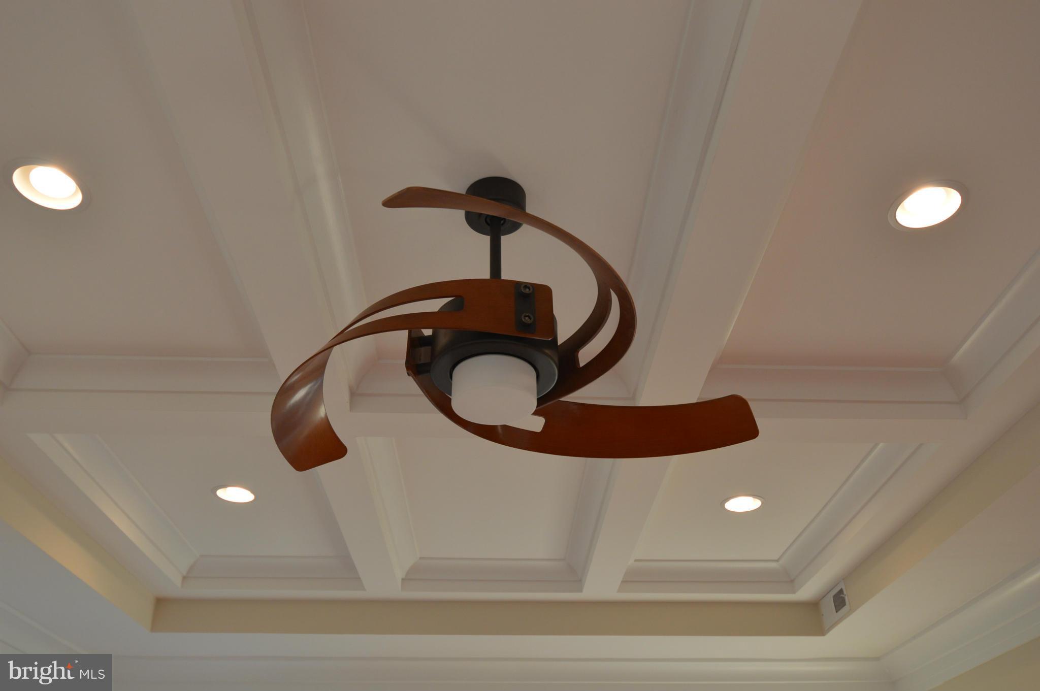 9404 Riley Place Silver Spring, MD 20910 - Photo 17 of 30 Ceiling Fan