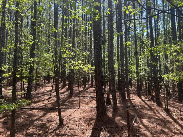 $49,900 | 1153 Watersedge Cove, Tignall, GA 30668