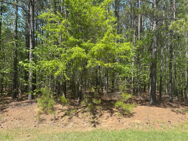 $49,900 | 1153 Watersedge Cove, Tignall, GA 30668