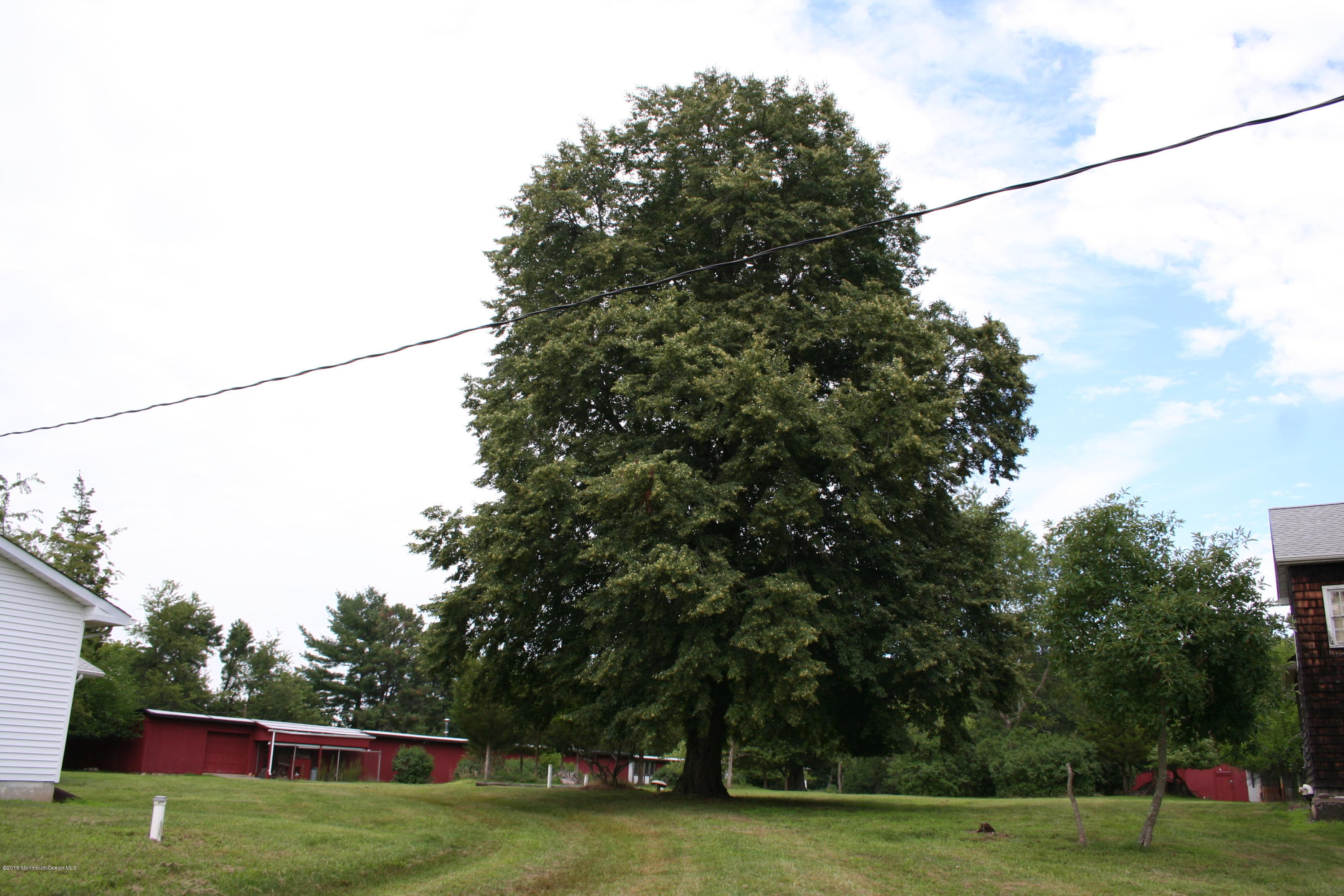 64 Rising Sun Tavern Road Clarksburg, NJ 08510 - Photo 7 of 25 6_tree