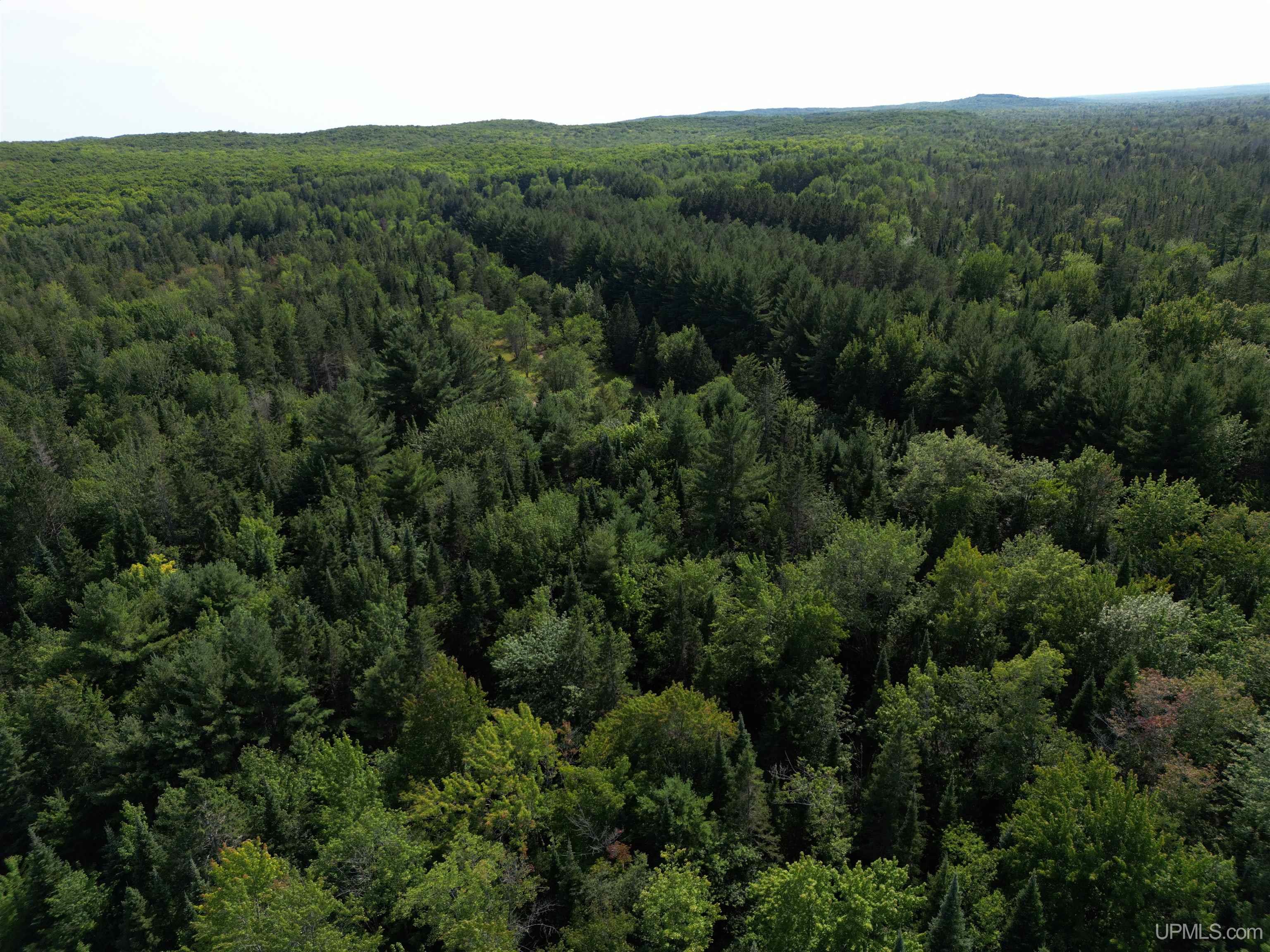 Tbd Tbd Ridge Road Munising, MI 49862 - Photo 7 of 33 Gallery Image 7