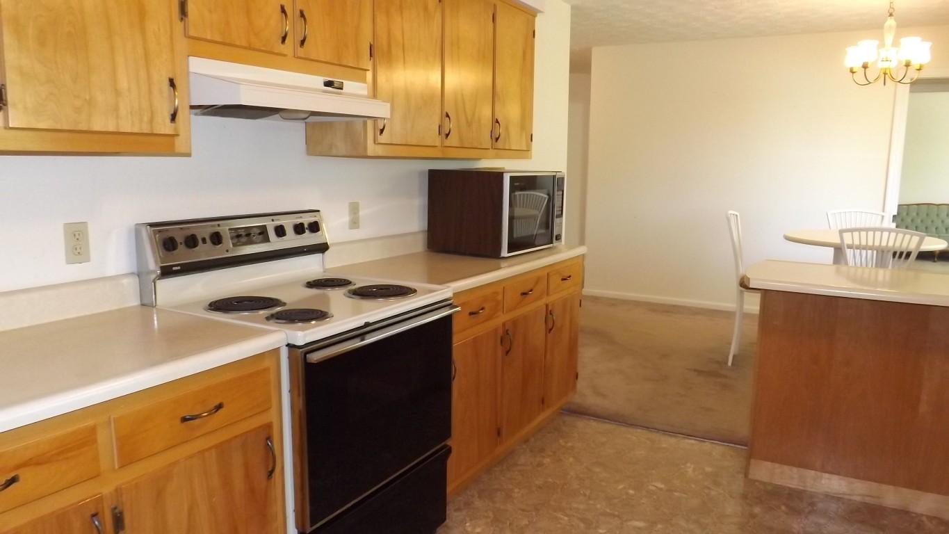 969 Ewing Road Spring City, TN 37381 - Photo 14 of 34 kitchen 3