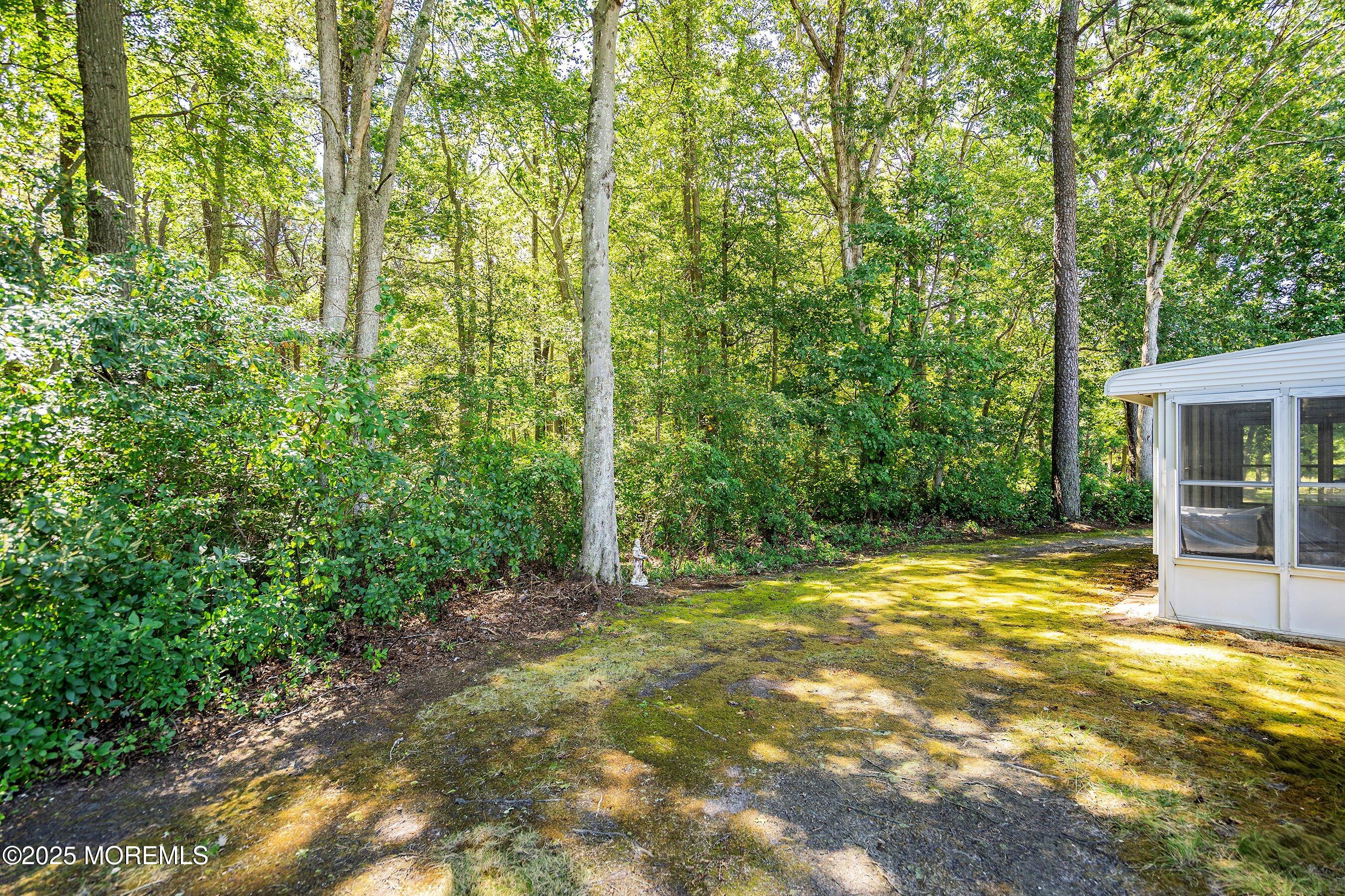 9 Whitney Court Brick, NJ 08724 - Photo 33 of 42 a view of a yard with plants and large trees