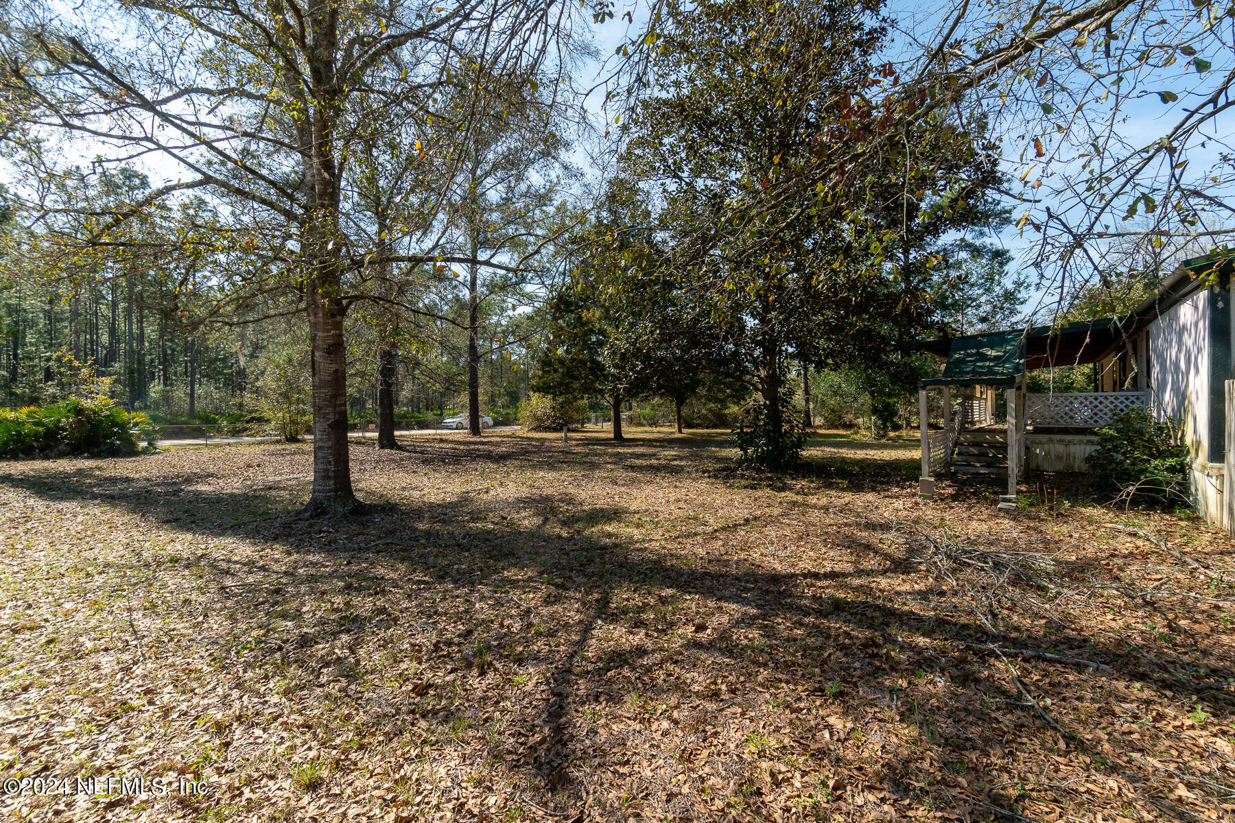 5242 Wilbur Road Middleburg, FL 32068 - Photo 15 of 22 Ext Front Yard