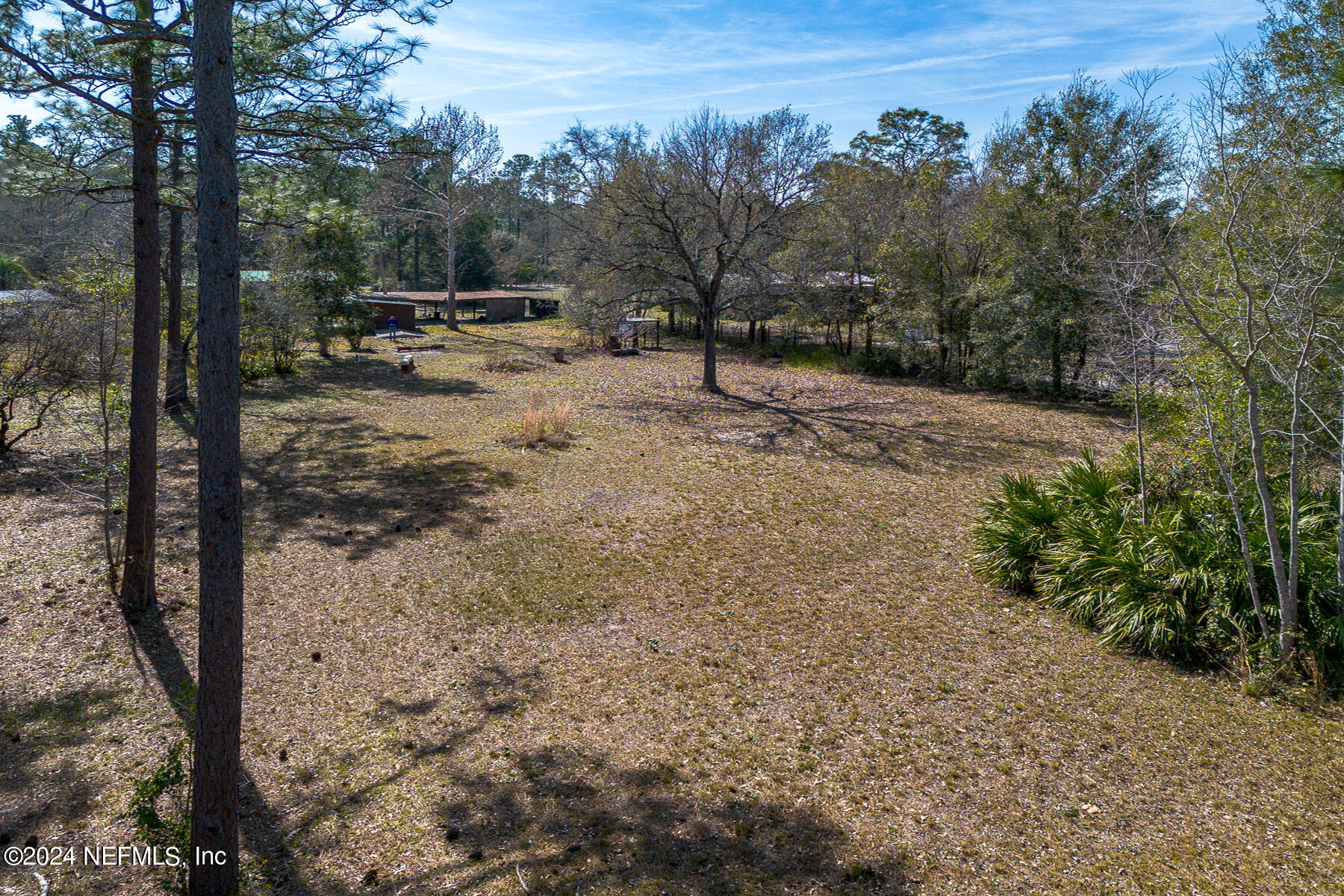 5242 Wilbur Road Middleburg, FL 32068 - Photo 5 of 22 Ext Backyard d