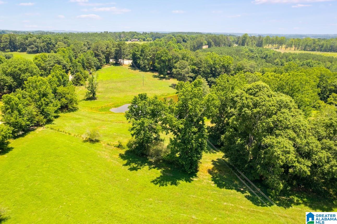 0 County Road 10, Unit X Ranburne, AL 36273 - Photo 5 of 32