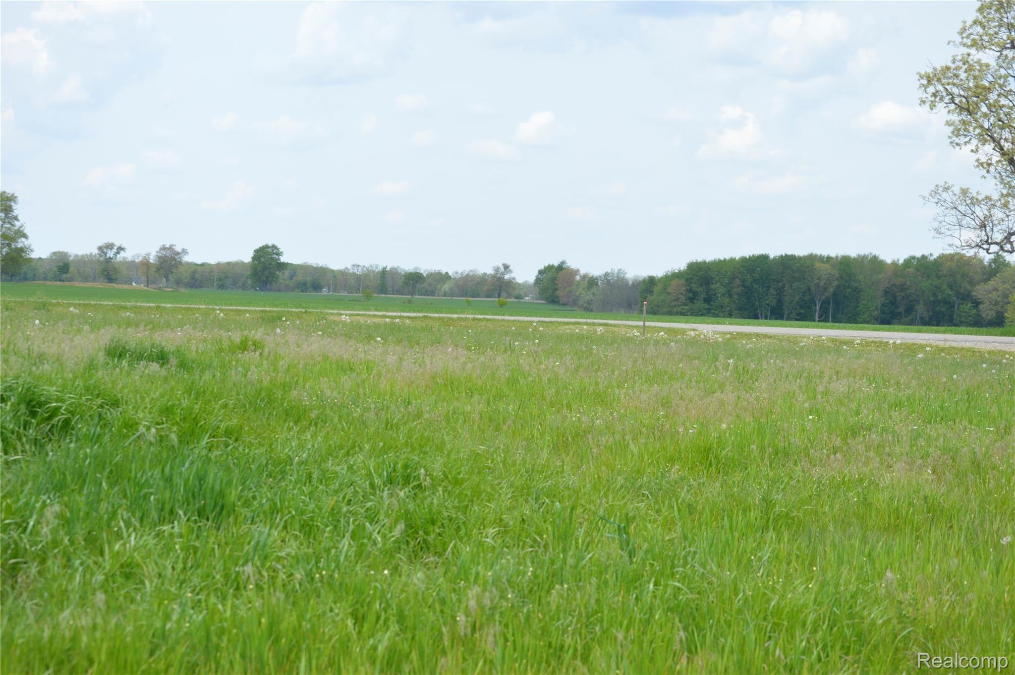1828 Gramer Road Webberville, MI 48892 - Photo 5 of 7 _DSC0887.JPG