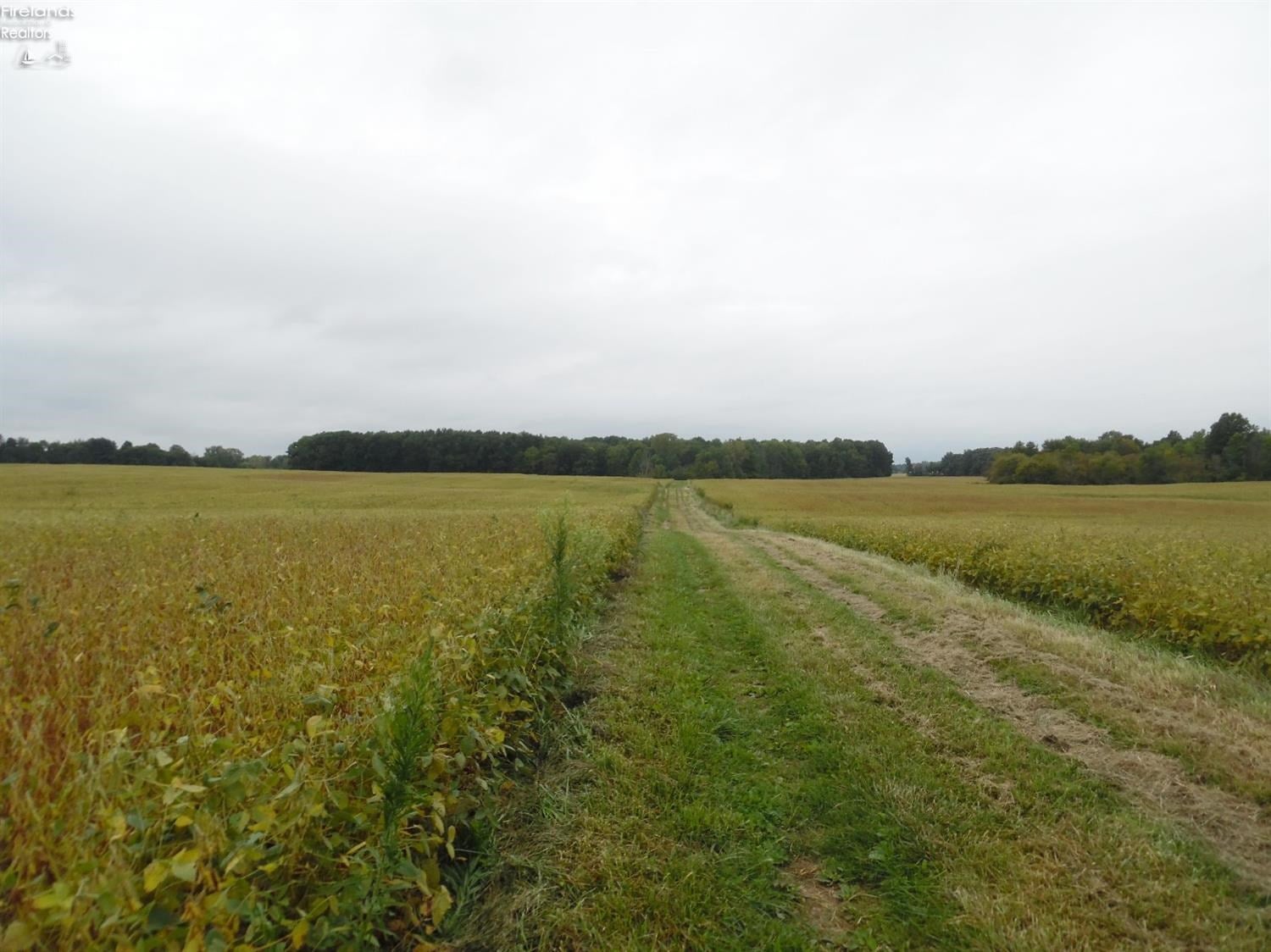 0 Hettle Road Willard, OH 44890 - Photo 10 of 13 Gallery Image 10