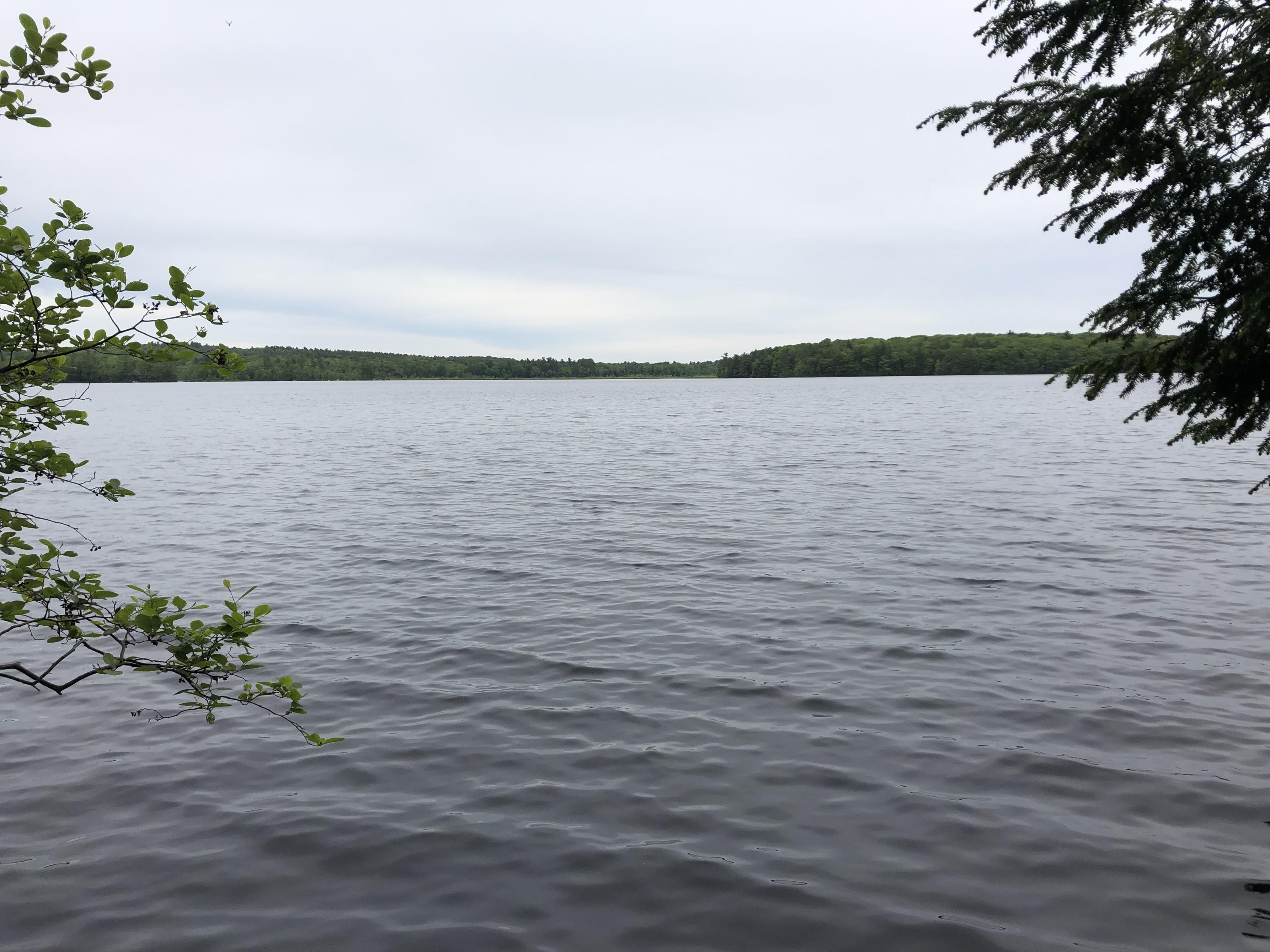 0 Albin Road Searsmont, ME 04973 - Photo 10 of 21 IMG_2657