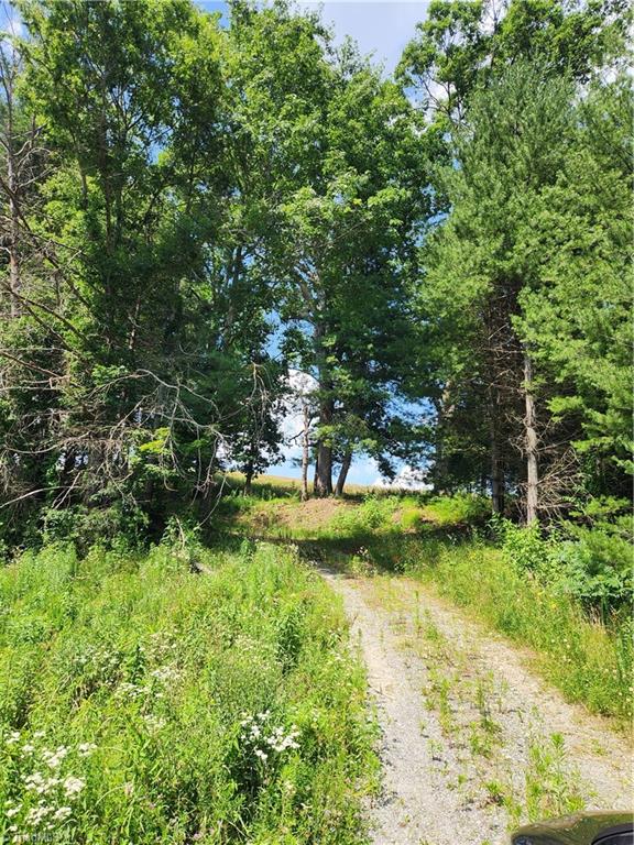 61 Sheriff Road Sparta, NC 28675 - Photo 2 of 13