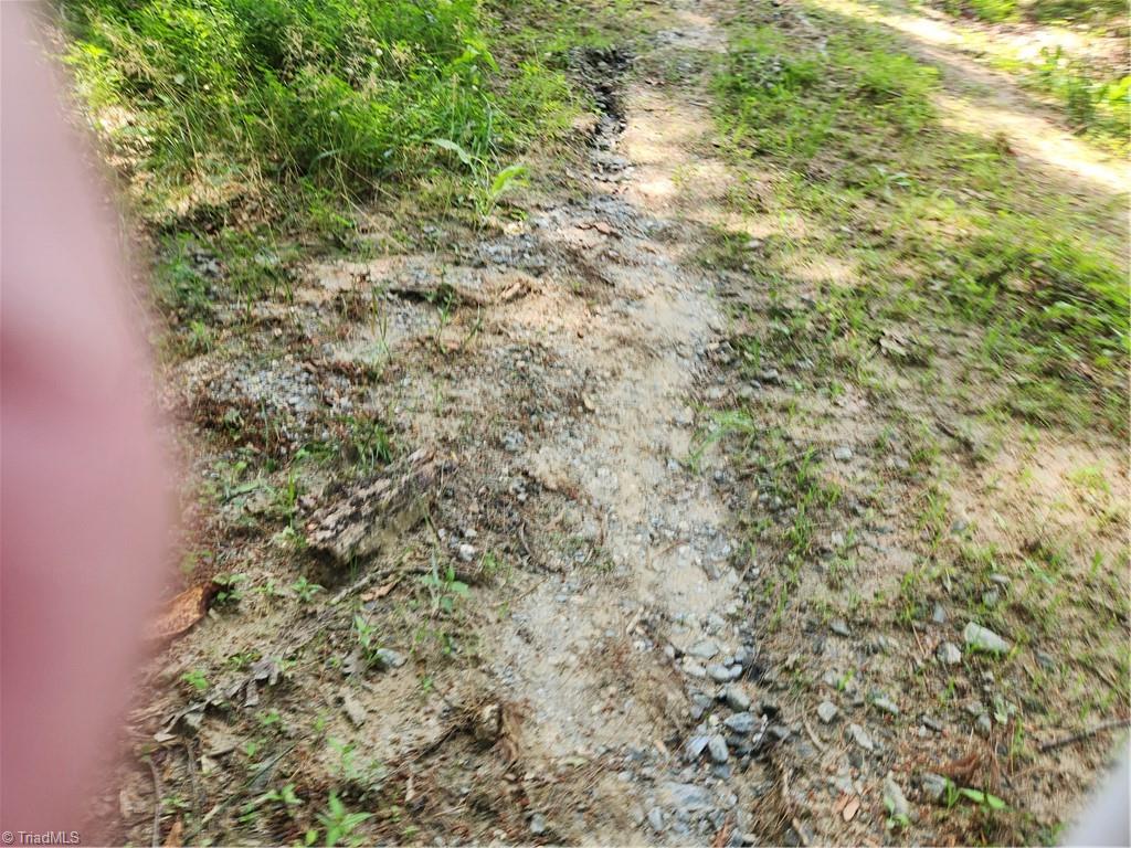 61 Sheriff Road Sparta, NC 28675 - Photo 3 of 13