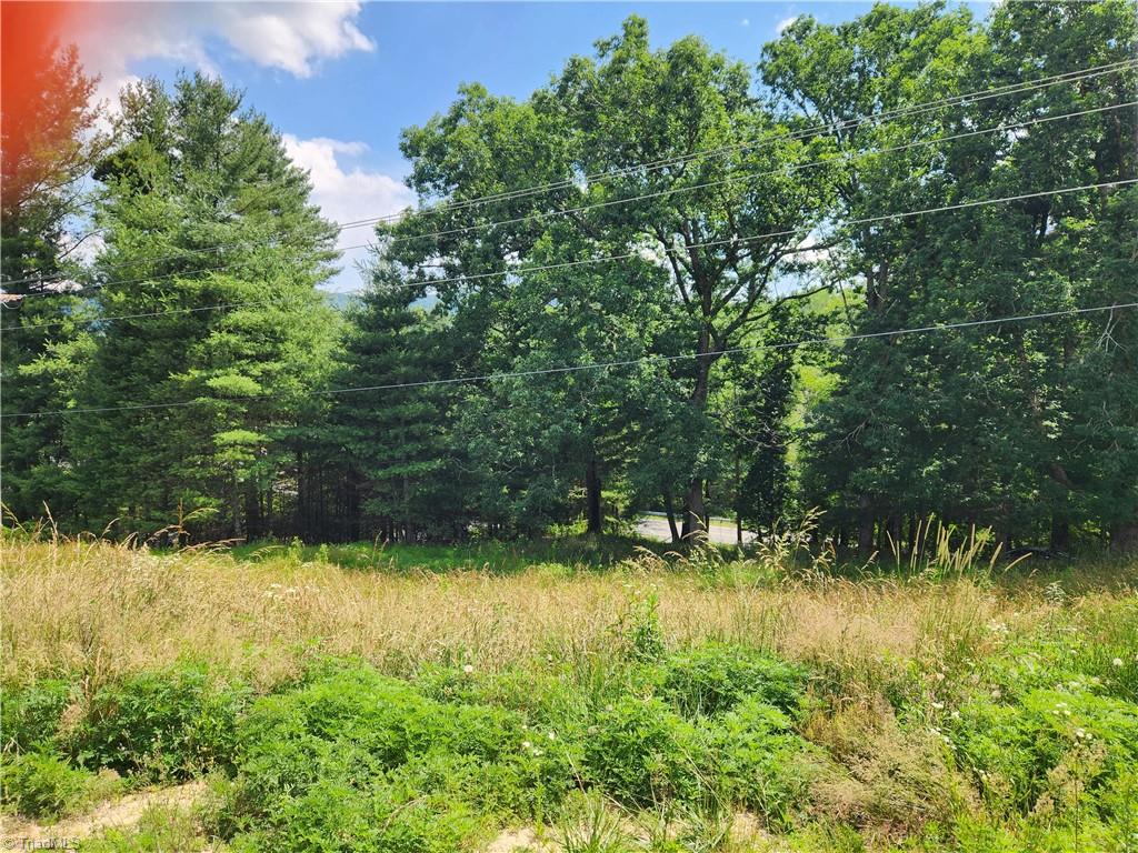 61 Sheriff Road Sparta, NC 28675 - Photo 5 of 13