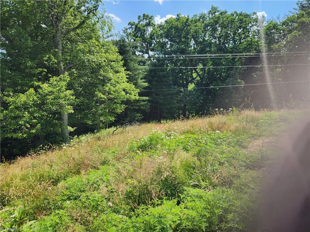 61 Sheriff Road Sparta, NC 28675 - Photo 8 of 13