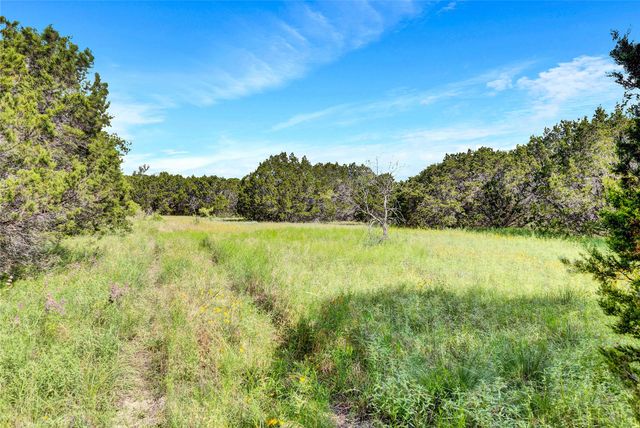a view of yard with green space