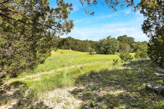 a view of yard with green space