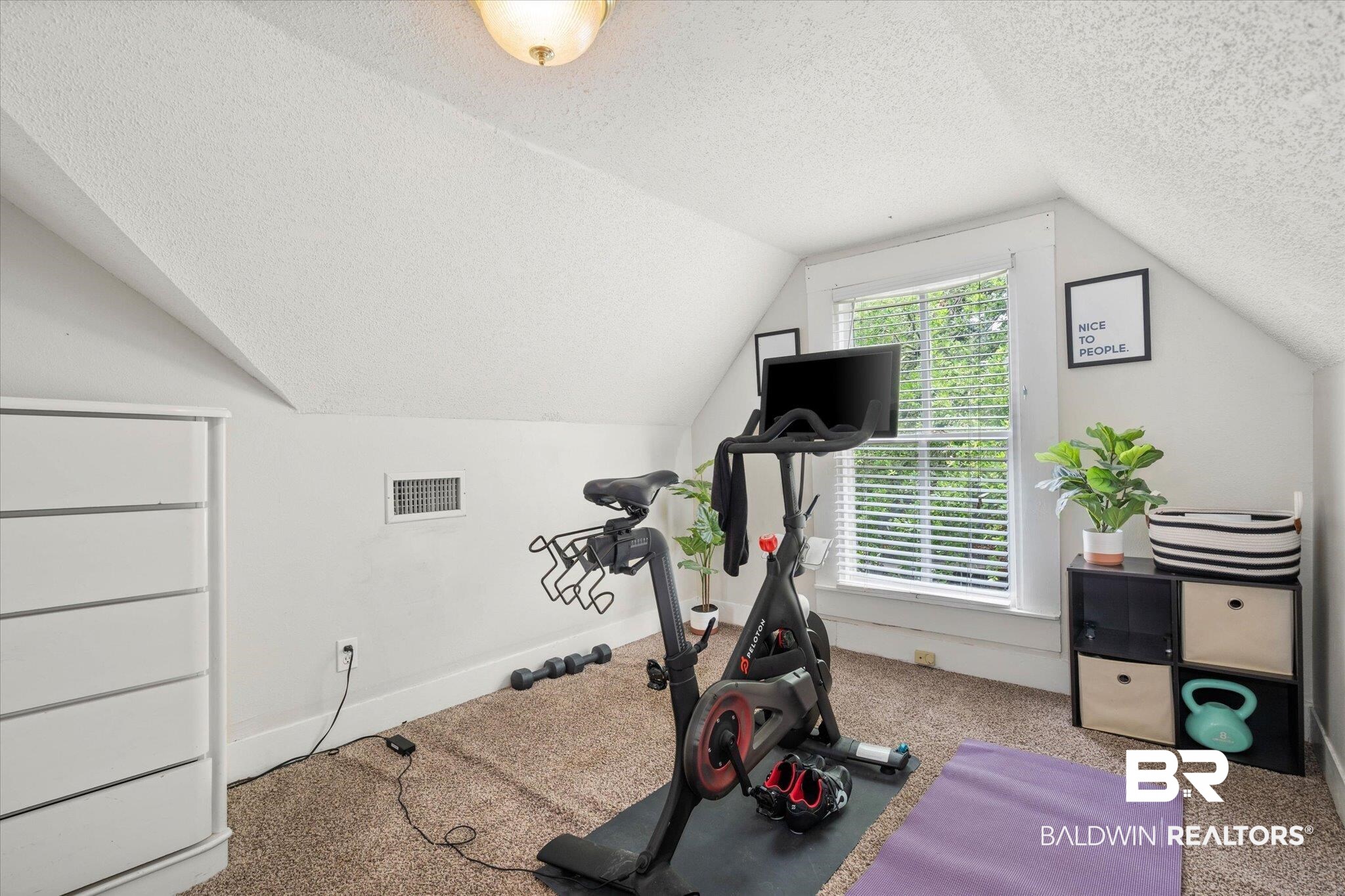 20 Hurlbert Street Mobile, AL 36607 - Photo 22 of 33 Exercise area with a textured ceiling, lofted ceiling, and carpet