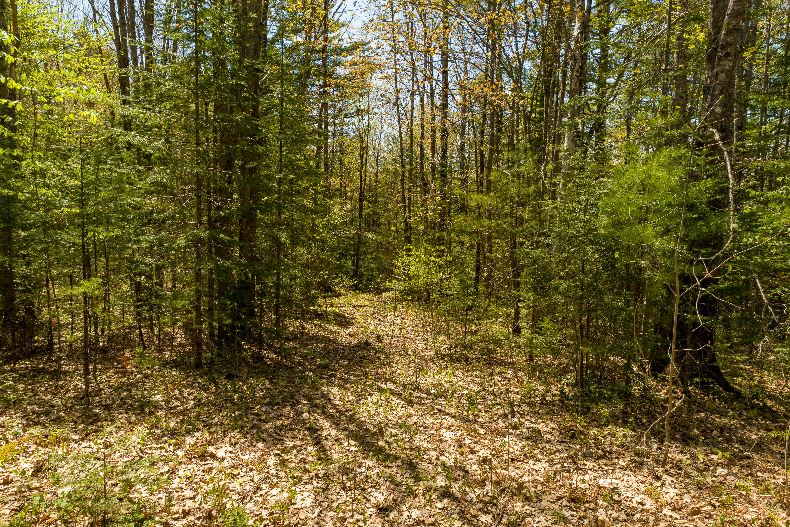 0 Indian & Rabbit Run Road Dresden, ME 04342 - Photo 3 of 28 Old Road