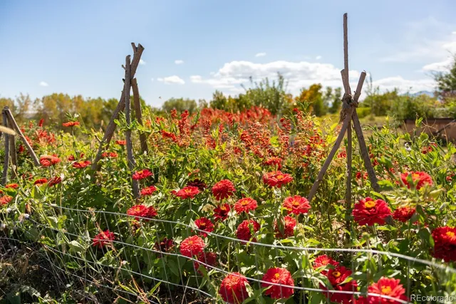 $4,500,000 | 5952 Oxford Road, Niwot, CO 80503