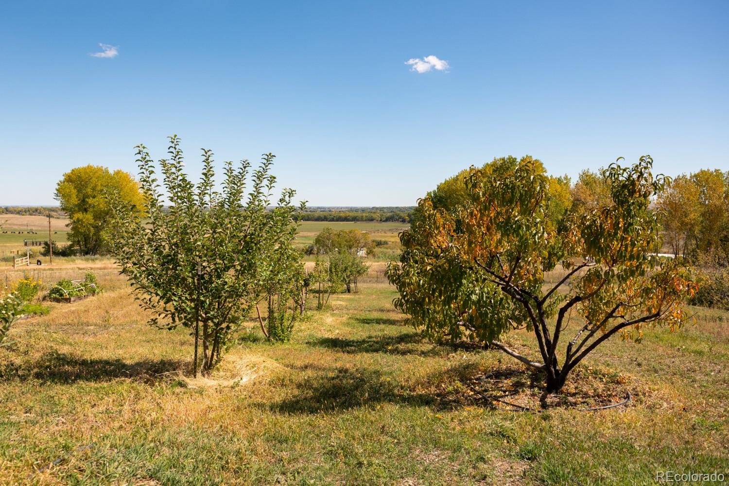 5952 Oxford Road Niwot, CO 80503 - Photo 25 of 29