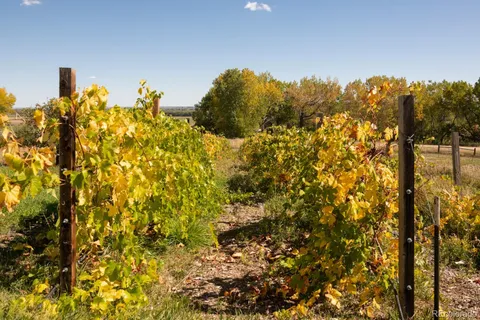 $4,500,000 | 5952 Oxford Road, Niwot, CO 80503