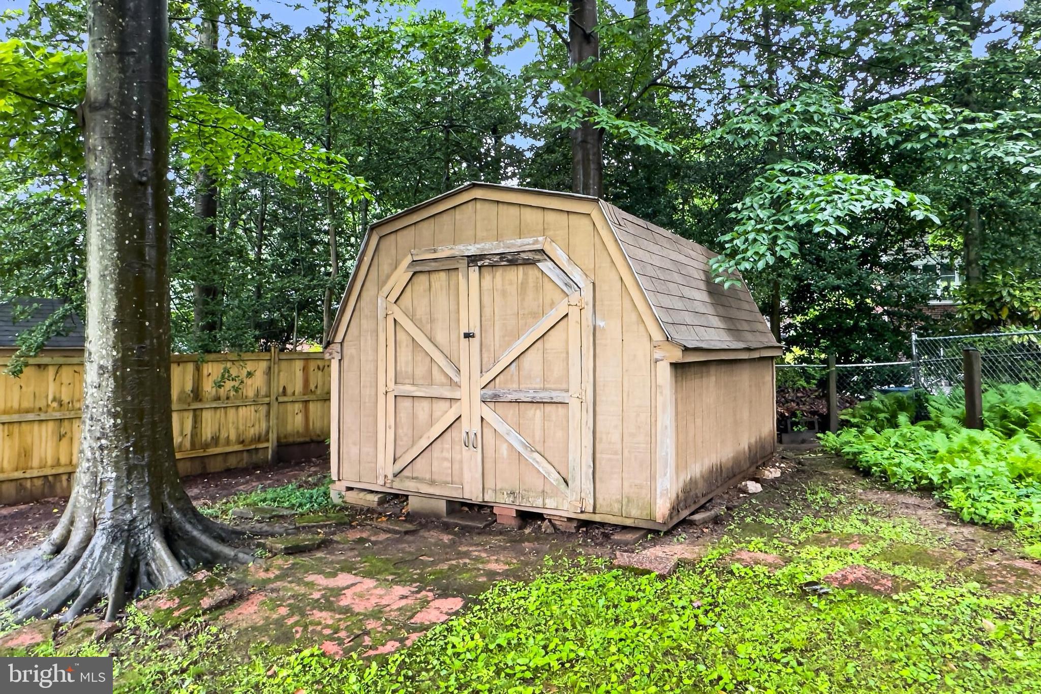 5502 Kempton Drive Springfield, VA 22151 - Photo 45 of 49 Storage shed, mower & equipment inside conveys