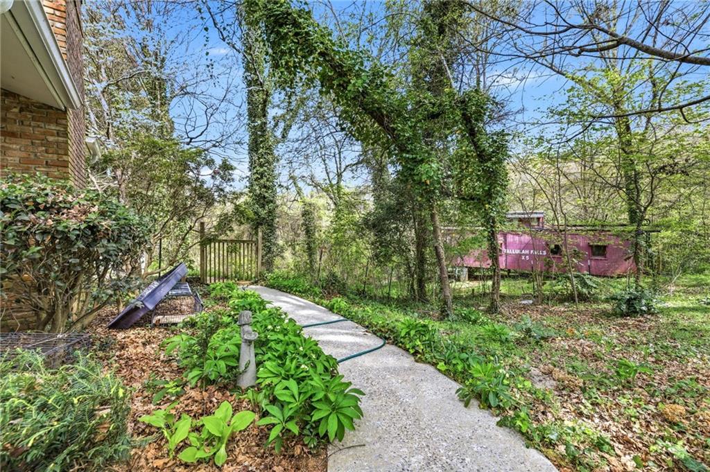 490 Maple Street Cornelia, GA 30531 - Photo 50 of 88 a backyard of a house with lots of green space