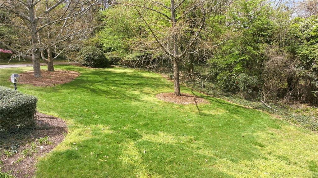 490 Maple Street Cornelia, GA 30531 - Photo 64 of 88 a backyard of a house with lots of plants and large tree