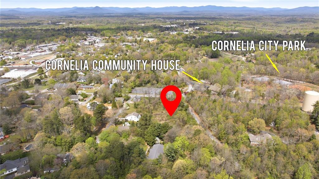 490 Maple Street Cornelia, GA 30531 - Photo 87 of 88