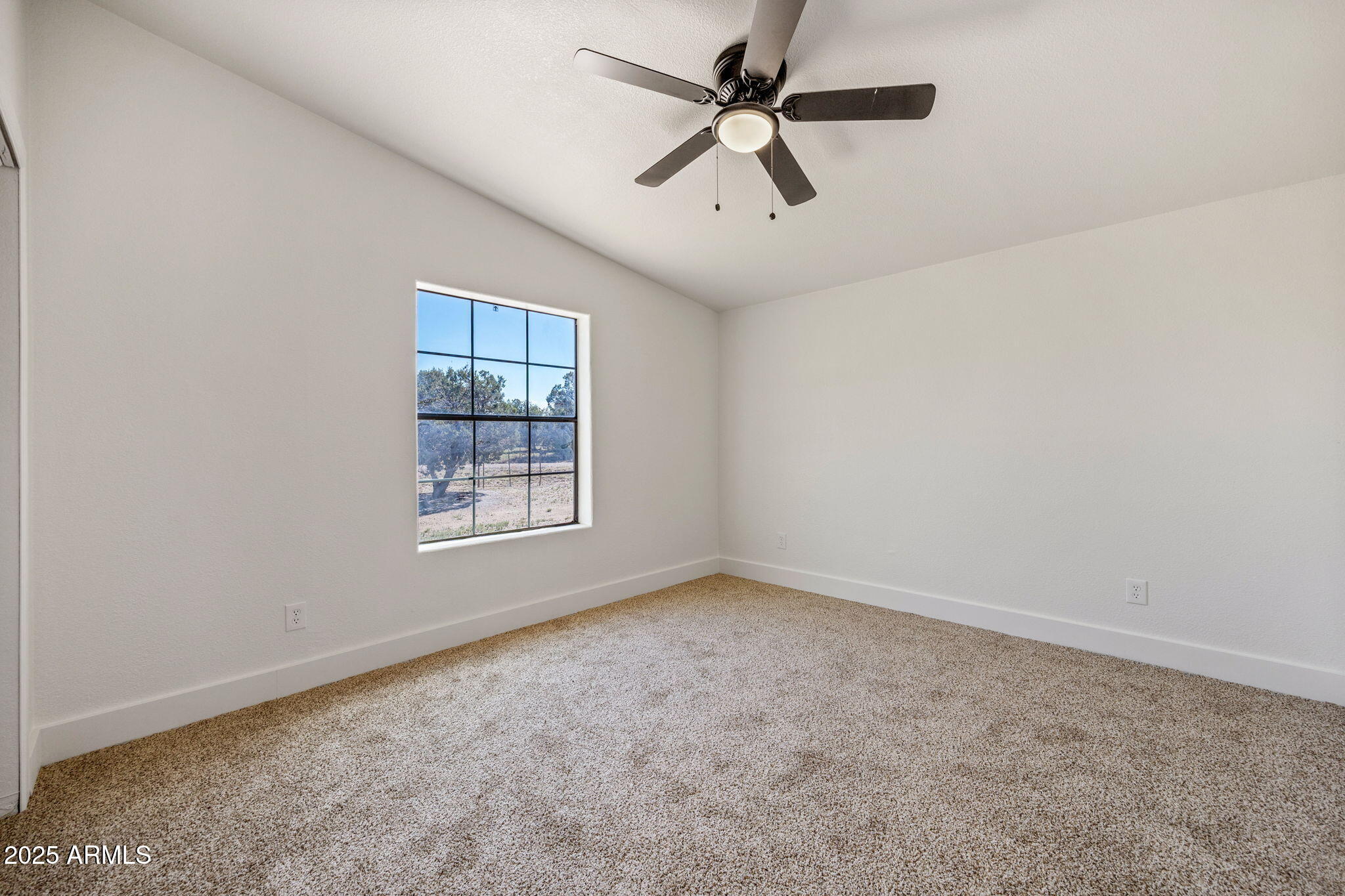 1854 Turkey Lake Road Show Low, AZ 85901 - Photo 20 of 34 1854TurkeyLakeRd-ShowLow-AZ-20