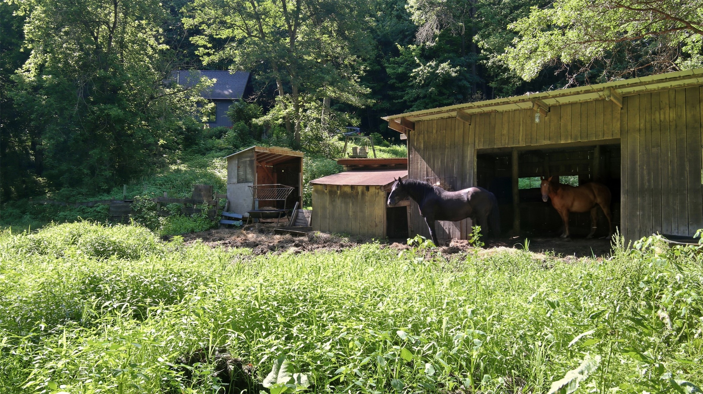 N44681 Hawkenson Valley Road Eleva, WI 54738 - Photo 33 of 55