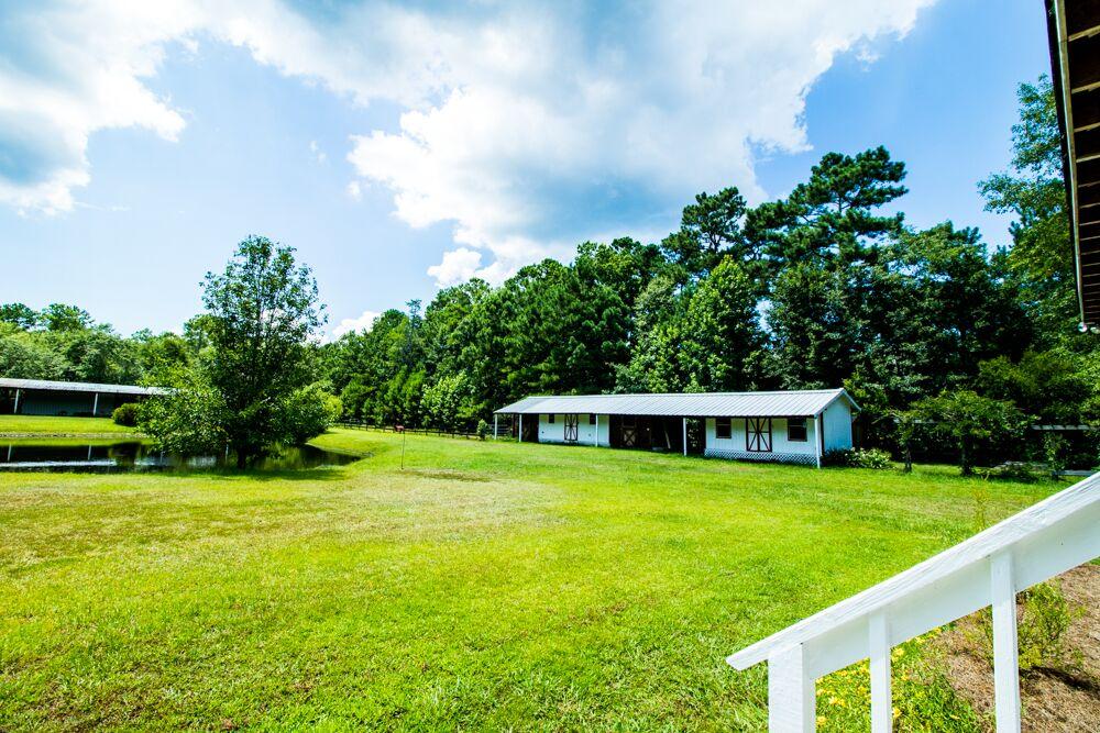6919 Kinard Road Ravenel, SC 29470 - Photo 23 of 33 unspecified-1