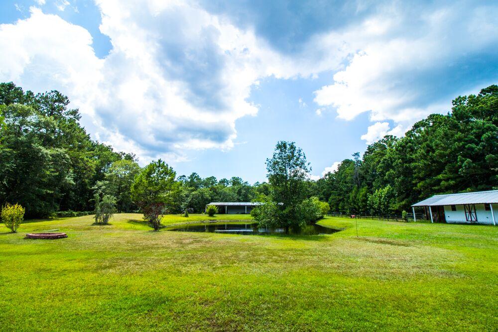 6919 Kinard Road Ravenel, SC 29470 - Photo 24 of 33 unspecified