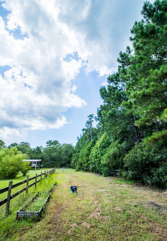 6919 Kinard Road Ravenel, SC 29470 - Photo 27 of 33 unspecified-3