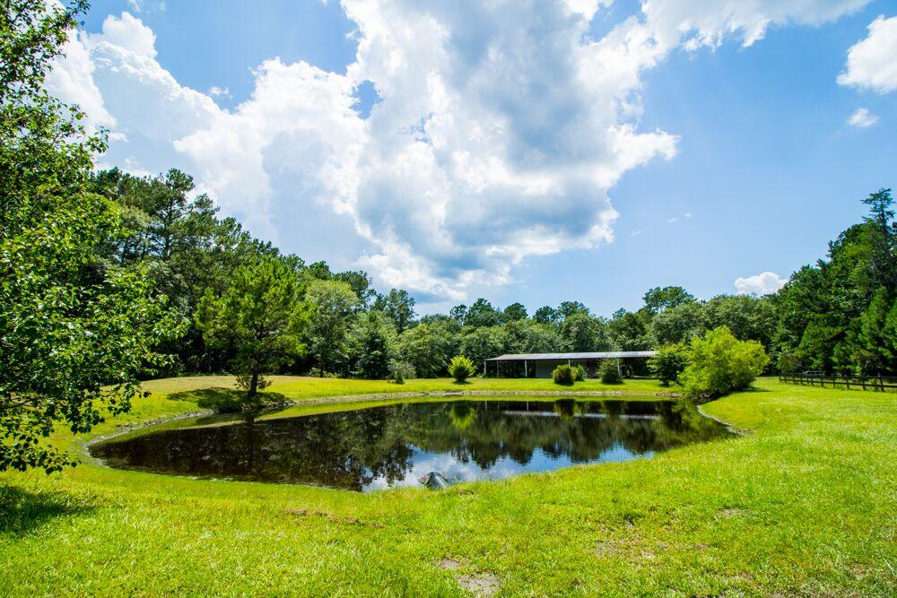 6919 Kinard Road Ravenel, SC 29470 - Photo 32 of 33 unspecified-2