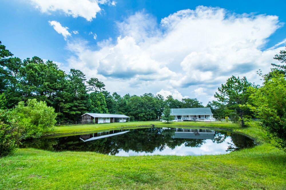 6919 Kinard Road Ravenel, SC 29470 - Photo 33 of 33 unspecified-5