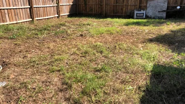 a view of backyard with pathway