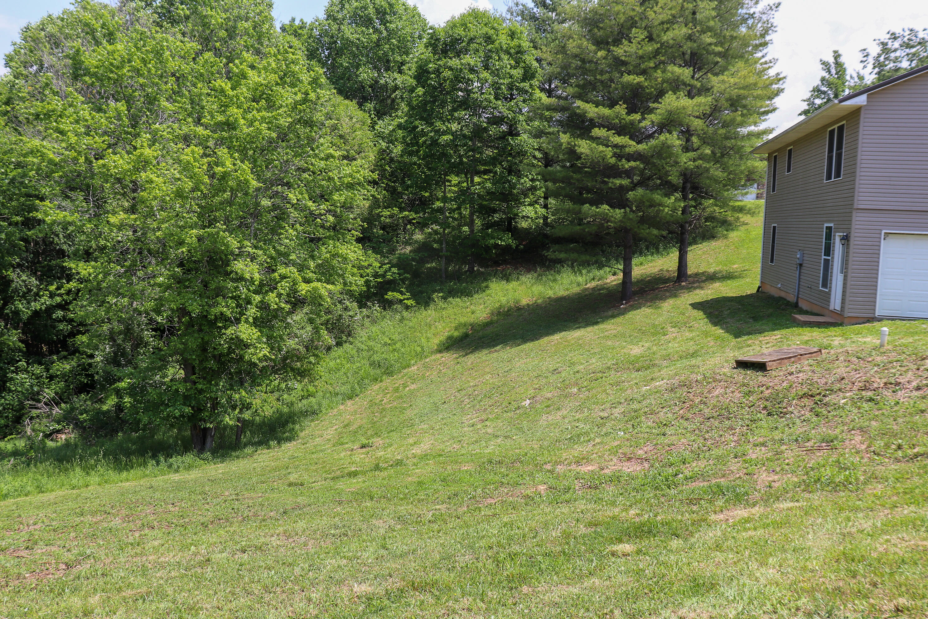 729 Huffville Road Northeast Pilot, VA 24138 - Photo 12 of 13 a backyard of a house with lots of green space