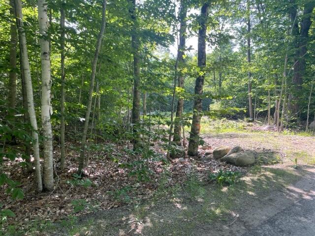 Lot 12-14 Dorr Road Wiscasset, ME 04578 - Photo 3 of 10 dorr2